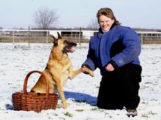 Cher Car Kennels Belgian Malinois Ramsey