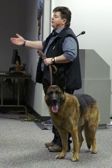 Dog Bite Prevention Training by Cher Car Kennels