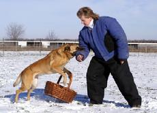 Cher Car Kennels Belgian Malinois Ramsey