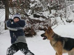 German Shepherd from Cher Car Kennels