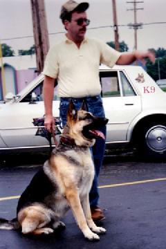 Cher Car Kennels trained Police Dog