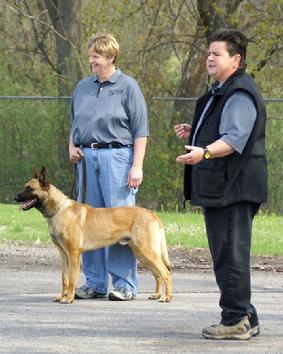 Dog Bite Prevention Training by Cher Car Kennels
