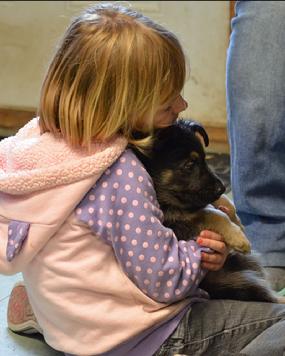German Shepherd puppies for sale at Cher Car Kennels