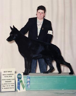 Best Male GSD and TOTAL DOG Winner at 1996 UKC Premier Dog Show