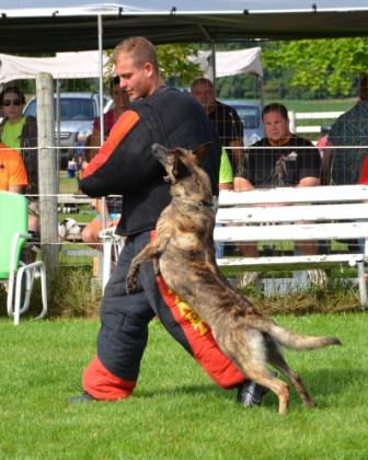 Nada competing at the 2011 Dog Sports Open