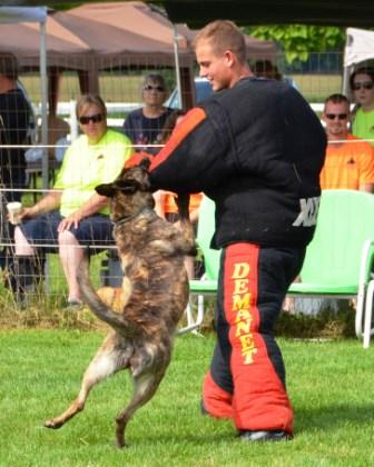 Nada competing at the 2011 Dog Sports Open