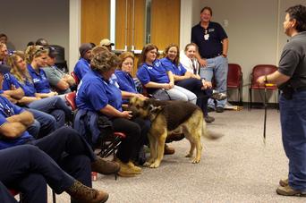 German Shepherd "Timber" during Cher Car Kennels Dog Bite Prevention Training Seminar