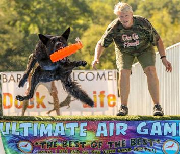 Dutch Shepherd puppies for sale at Cher Car Kennels