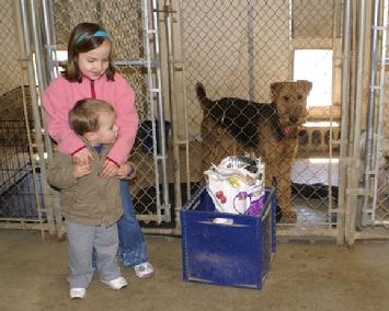 Boarding at Cher Car Kennels