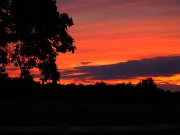 Summer Sunset at Cher Car Kennels