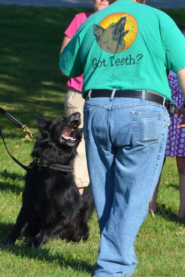 Cher Car Kennels "Got Teeth" Logo