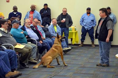 Dog Bite Prevention Training by Cher Car Kennels