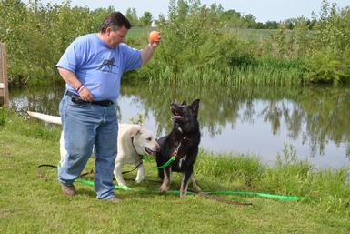 Cher Car Kennels "playcare" services