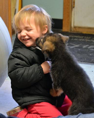 German Shepherd puppies for sale at Cher Car Kennels