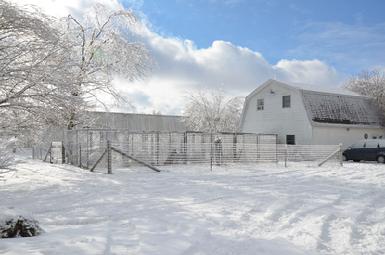 Cher Car Kennels in St. Johns, Michigan offers dog boarding, training and breeding services