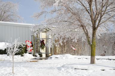 Cher Car Kennels in St. Johns, Michigan offers dog boarding, training and breeding services