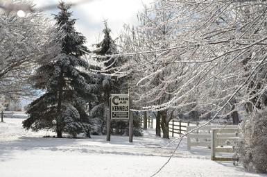 Cher Car Kennels in St. Johns, Michigan offers dog boarding, training and breeding services