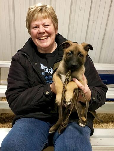 Belgian Malinois puppies for sale at Cher Car Kennels