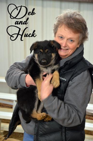 German Shepherd puppies for sale at Cher Car Kennels