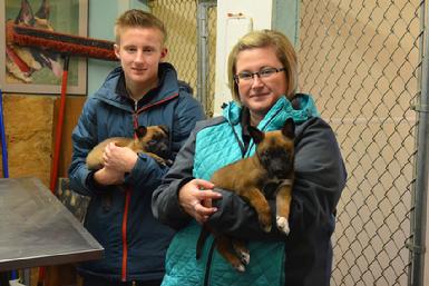 Belgian Malinois puppies for sale at Cher Car Kennels