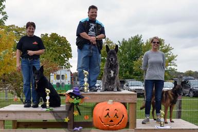 Dutch Shepherd UJJ UAGII URO3 CH Cher Cars Its My Perogative BTr CSAU CGC(Becker) at Cher Car Kennels
