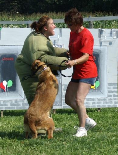 Cher Car Kennels Belgian Malinois River