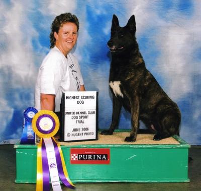 Cher Car Kennels Dutch Shepherd Dog Rush