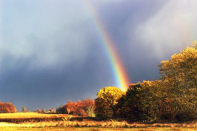 Fall Rainbow at Cher Car Kennels