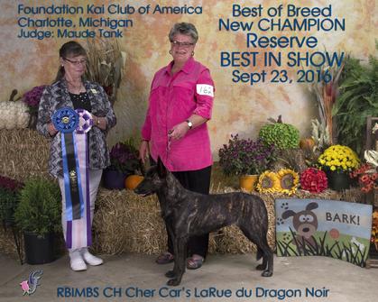 Reserve BEST IN SHOW and NEW CHAMPION