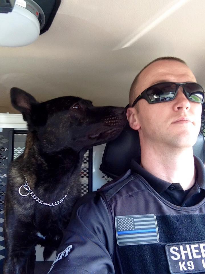 Dutch Shepherd Police K-9 from Cher Car Kennels