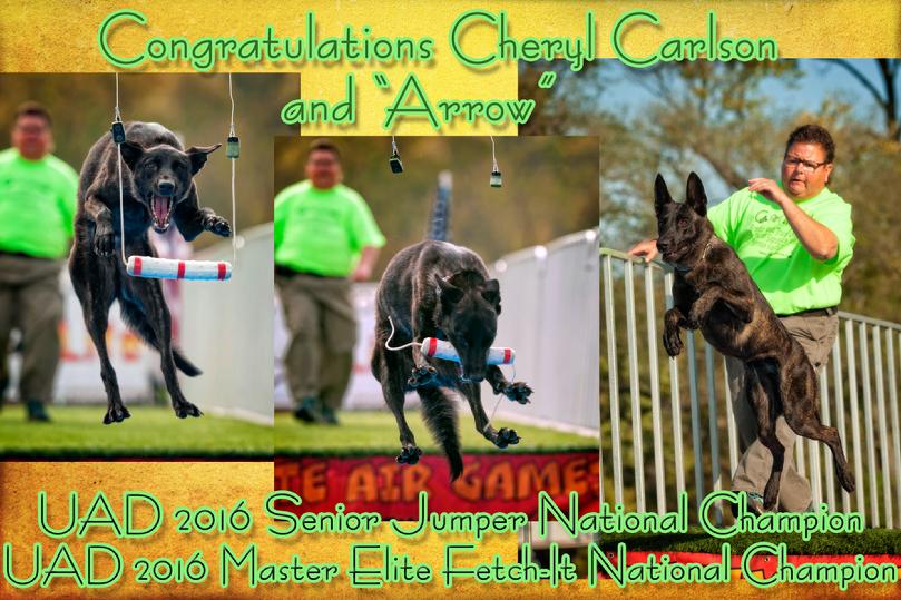 ROM-I USJCH UUF UNJ CH Cher Cars Me and My -2016 National SENIOR Jumper Champion & 2016 National Master Elite FETCH-IT Champion 