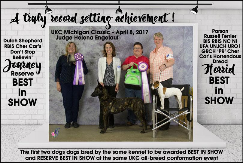 BIS & RBIS to 2 dogs bred by the same kennel