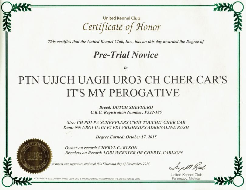 PTN UJJCH UAGII URO3 CH Cher Cars Its My Perogative BTr CSAU CGC