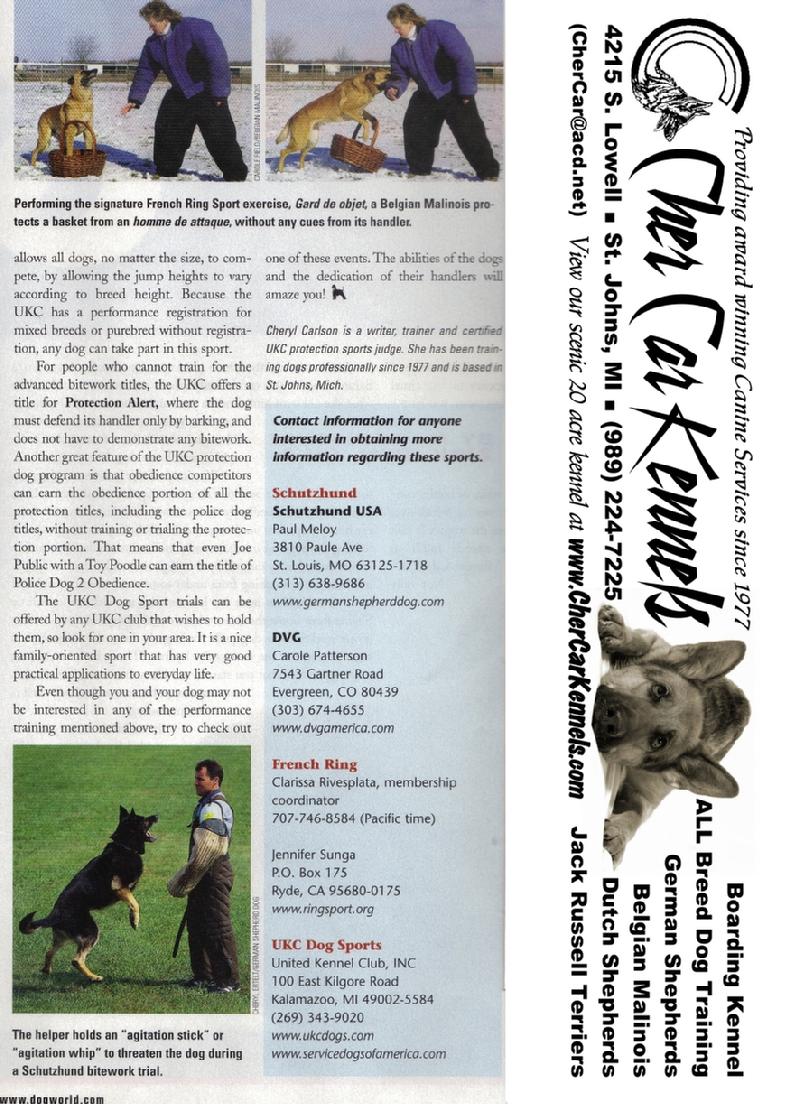 Dog World 4