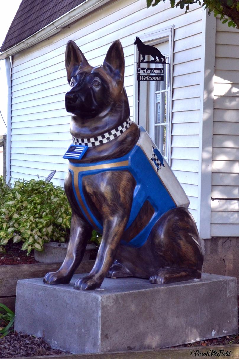 Dutch Shepherd Police K-9 at Cher Car Kennels