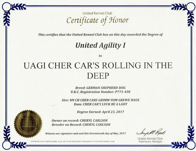 German Shepherd UAGI Raleigh at Cher Car Kennels